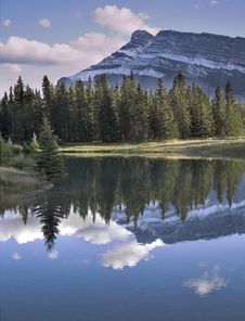 Solar Morning. Royalty Free Stock Images Solar Morning. Royalty Free Stock Images