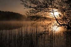 Mist Over The Lake Royalty Free Stock Photography