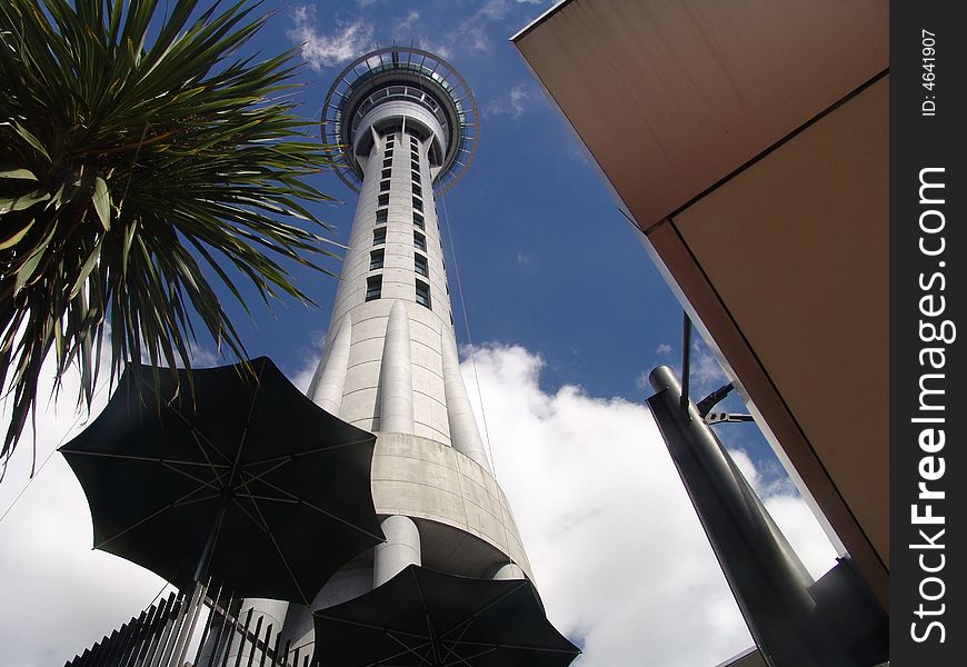 Sky Tower in Auckland, palm tree at front