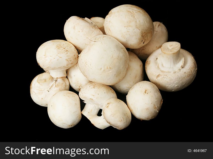 Fresh field mushrooms on black background