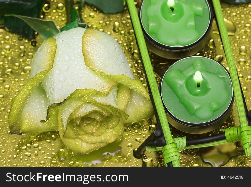Row of green candles with rose