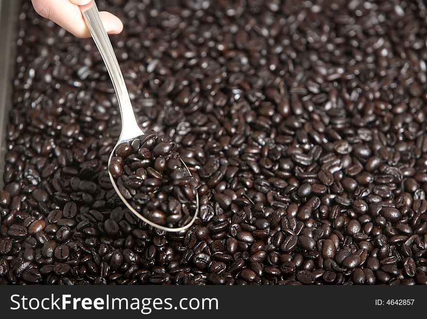 A hand holding a spoon full of coffee beans