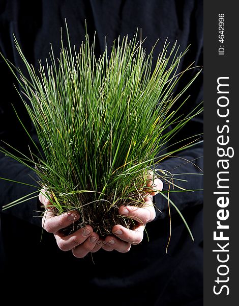 A person holding a small plant in the studio. A person holding a small plant in the studio