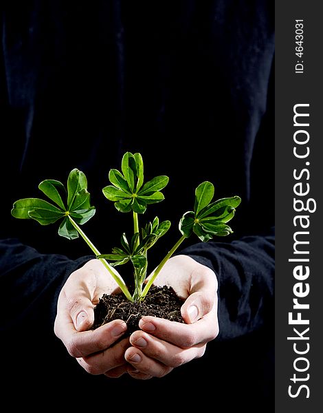 A person holding a small plant in the studio. A person holding a small plant in the studio