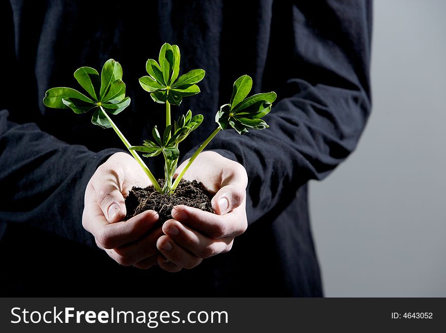 A person holding a small plant in the studio. A person holding a small plant in the studio