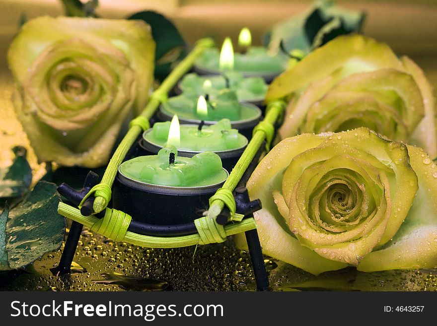 Row of green candles with roses