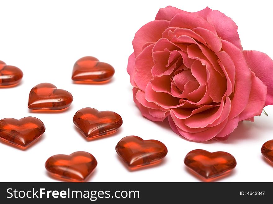 Red rose with hearts over white background