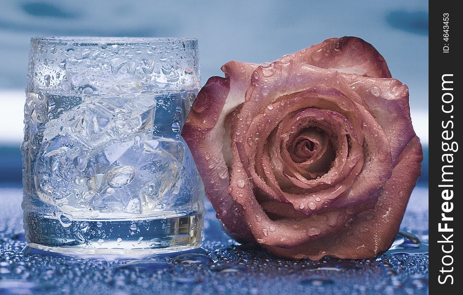 Glass With Water And Rose