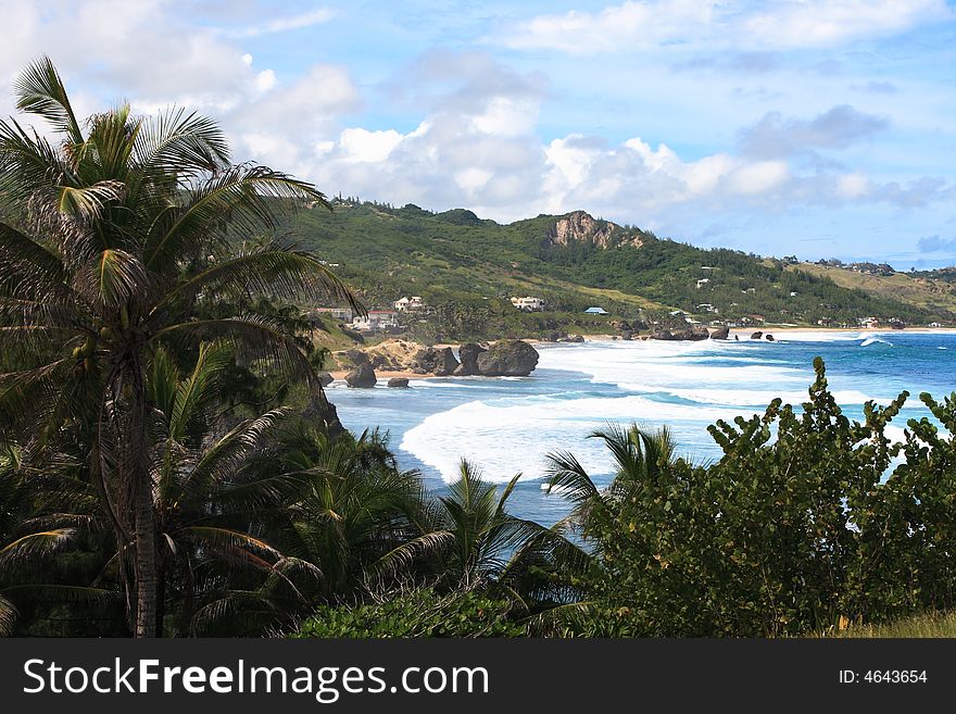 Over looking a tropical beach on the island of barbados. Over looking a tropical beach on the island of barbados