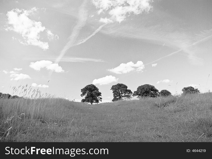 Big blue sky with fluffy clouds, contrails, trees and pasture in mono. Big blue sky with fluffy clouds, contrails, trees and pasture in mono