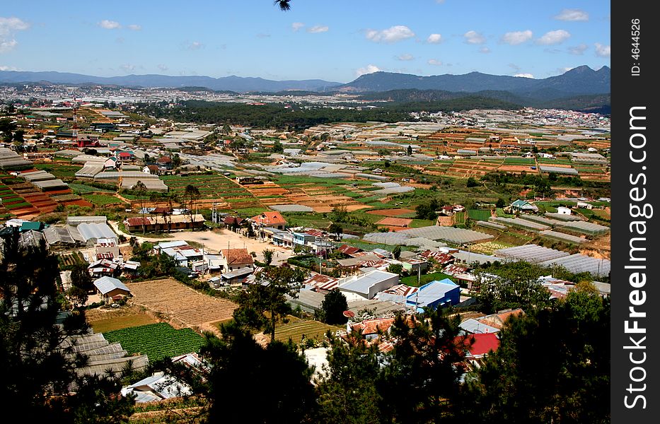 Highland fields at dalat vietnam