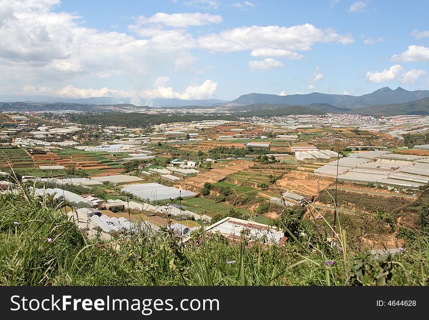 Highland fields at dalat vietnam