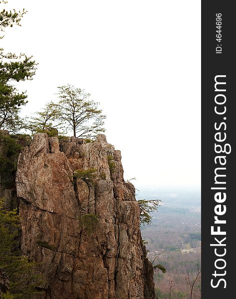 Mountain cliff ridge with trees