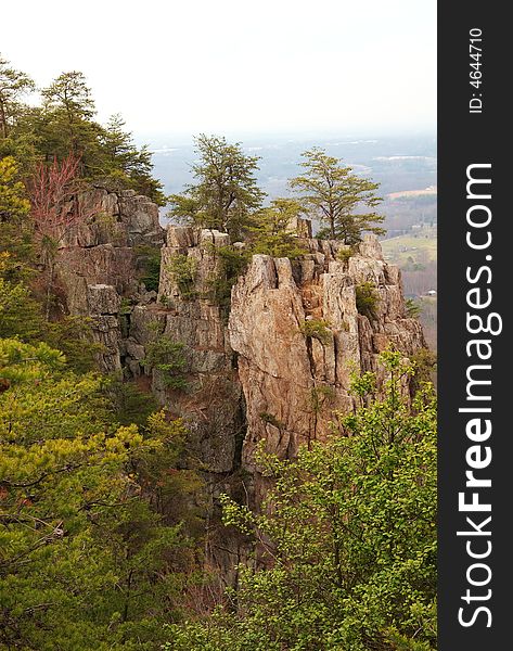 A scenic view of a cliff side with trees all around. A scenic view of a cliff side with trees all around.