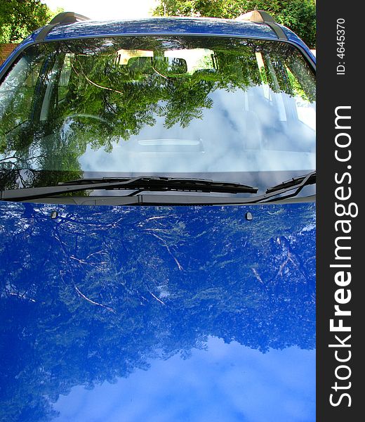 Reflection of trees in a car