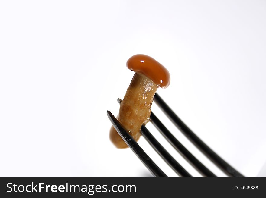 Close-up of steel fork with marinaded honey fungus on white background