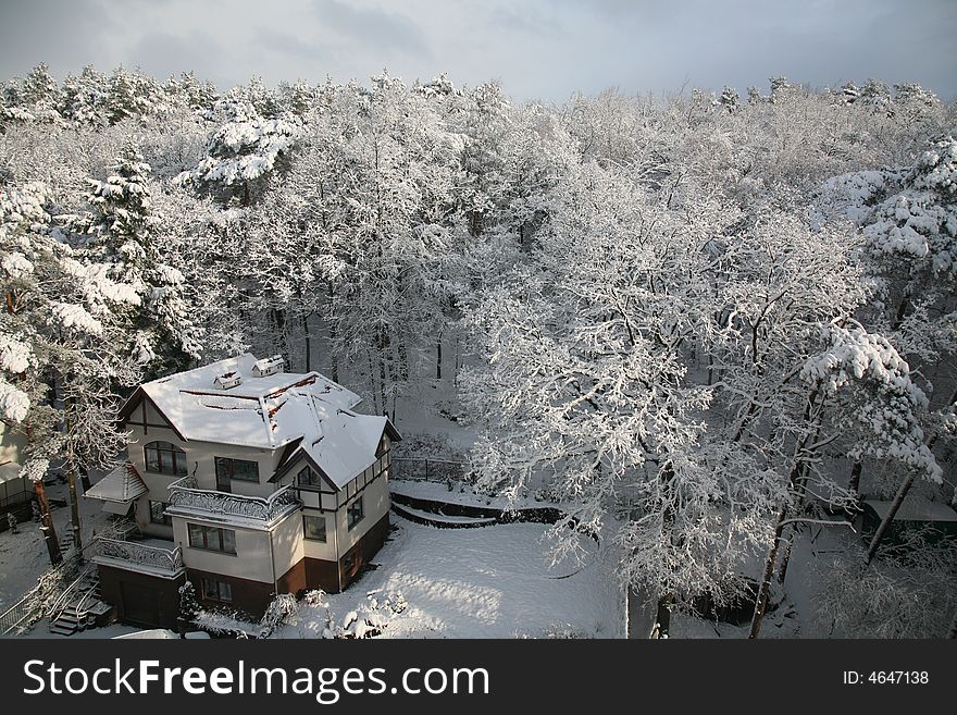 Winter at the woods