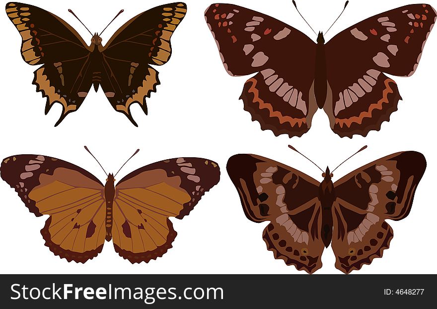 Illustration with four different butterflies isolated on white background. Illustration with four different butterflies isolated on white background