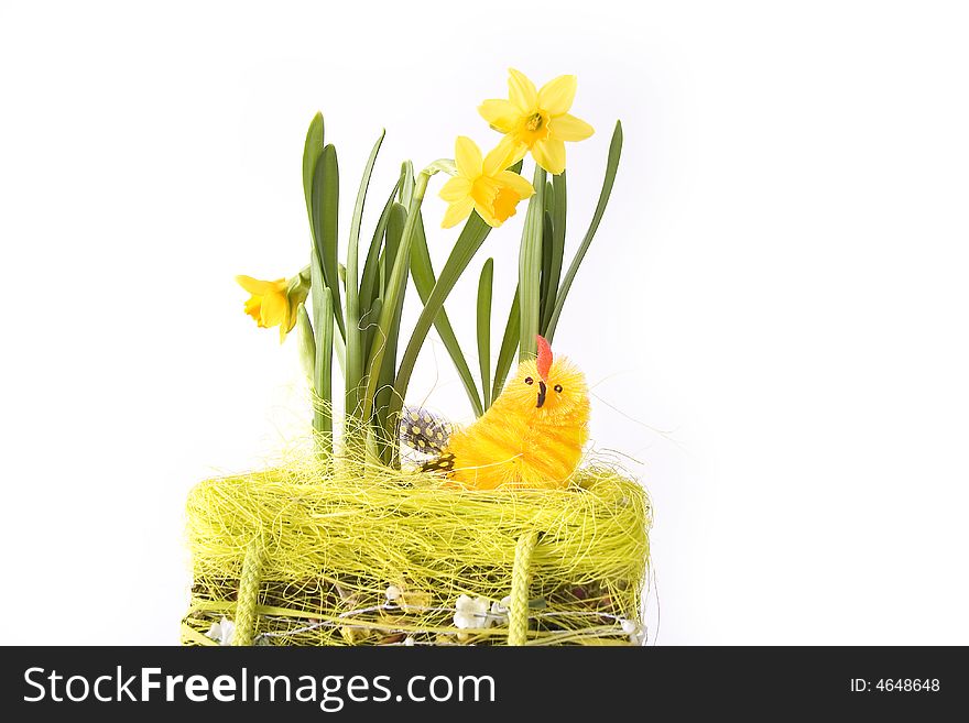 Yellow chick in basketry with some flowers