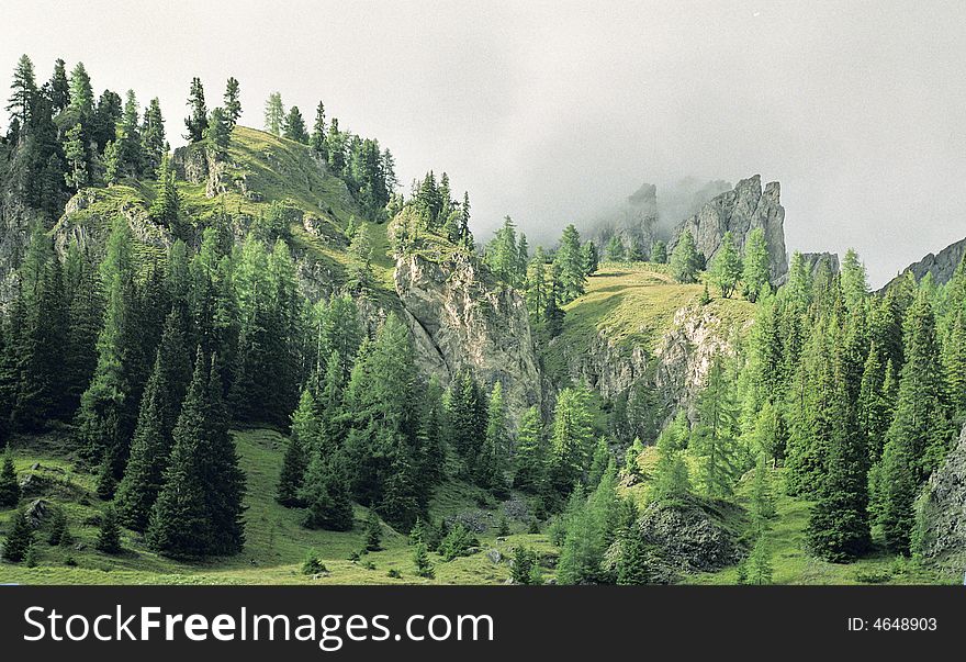 View of Dolomites mountains in Italian Alps showing pine trees and rocks in an amazing sunny and foggy atmosphere.