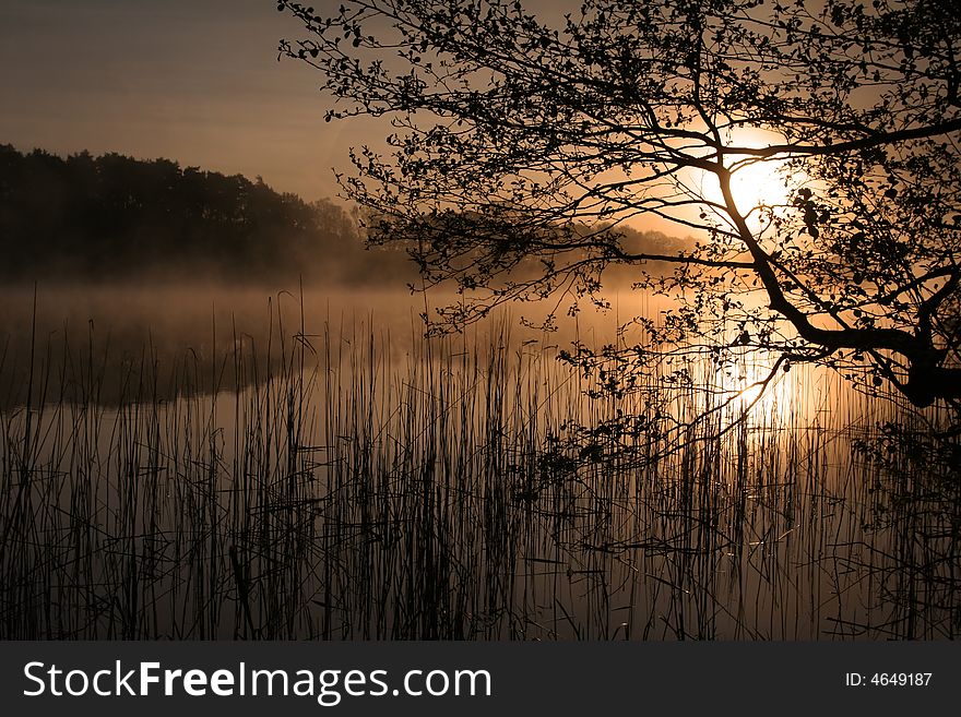 Mist over the lake in the morning time