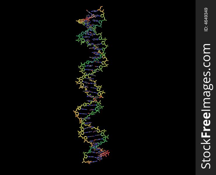 Structure of a small part of human DNA. This is the nature shape of DNA in human body. The structure was measured by X-RAY diffraction method. The DNA double strands are shown. Different colors represent the different molecular temperature