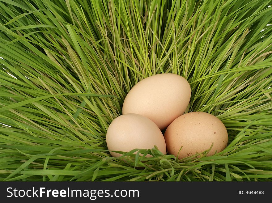 Three easter eggs in a grass nest