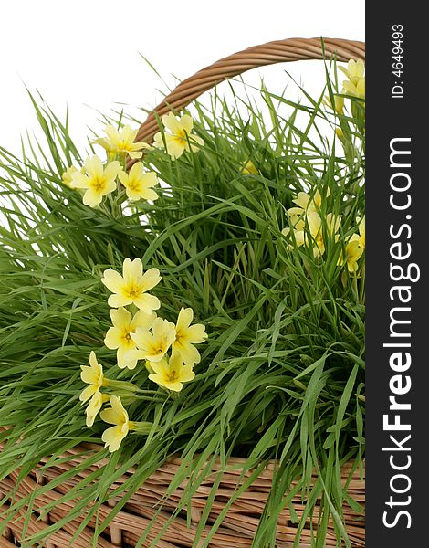 Yellow flowers in basket with fresh grass
