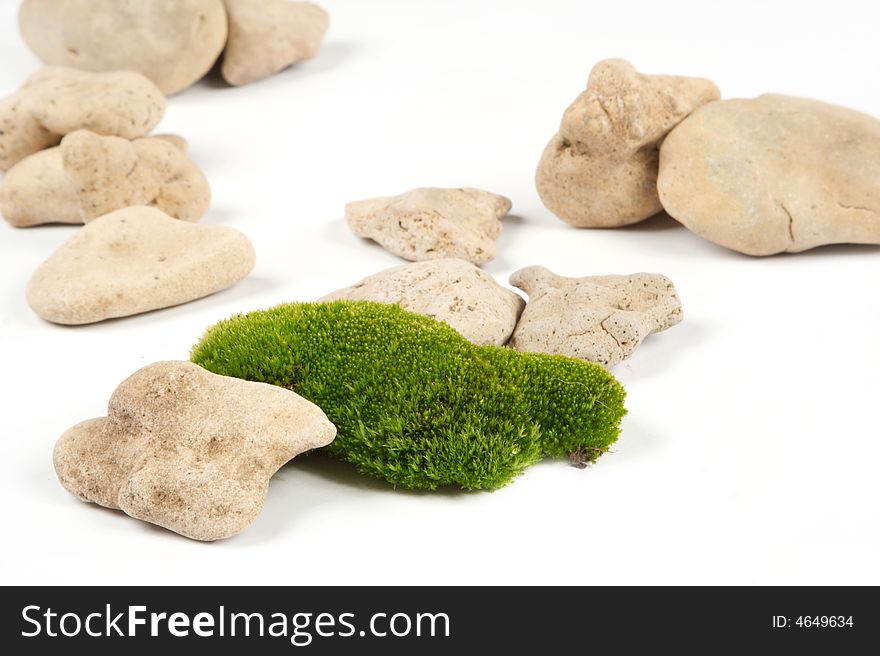 Green moss and grey stones on a white background