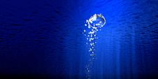 Underwater Royalty Free Stock Photography Underwater Royalty Free Stock Photography