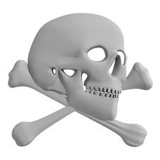 Skull. Royalty Free Stock Photography Skull. Royalty Free Stock Photography