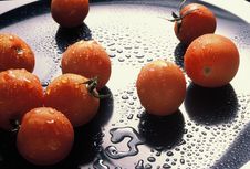 Cherry Tomatoes Royalty Free Stock Photos Cherry Tomatoes Royalty Free Stock Photos