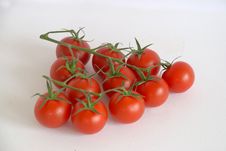Vine Tomatoes Stock Photography Vine Tomatoes Stock Photography