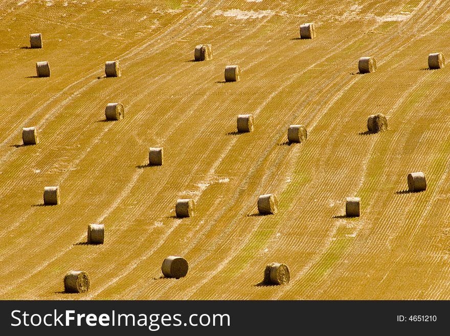 Rows of straw bales in a golden field in summer