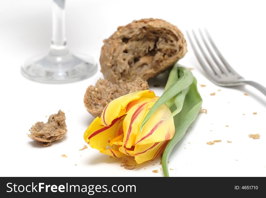 Yellow tulip and a lot of crumbs of bread. Yellow tulip and a lot of crumbs of bread