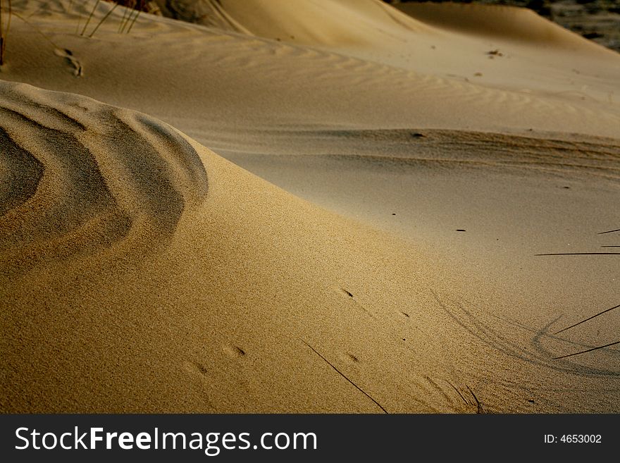 Sand dunes on desert ground