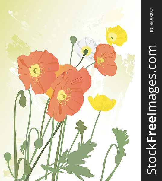 Vintage Orange Poppies