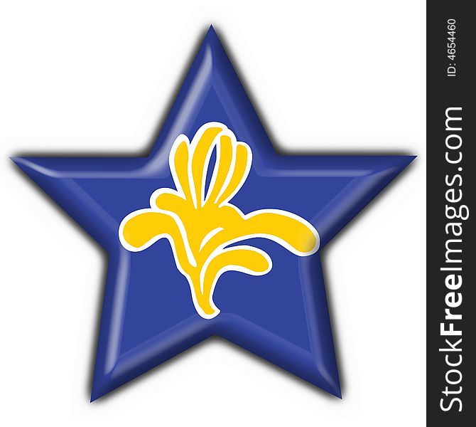 Flag of Brussels (Belgium) star shape