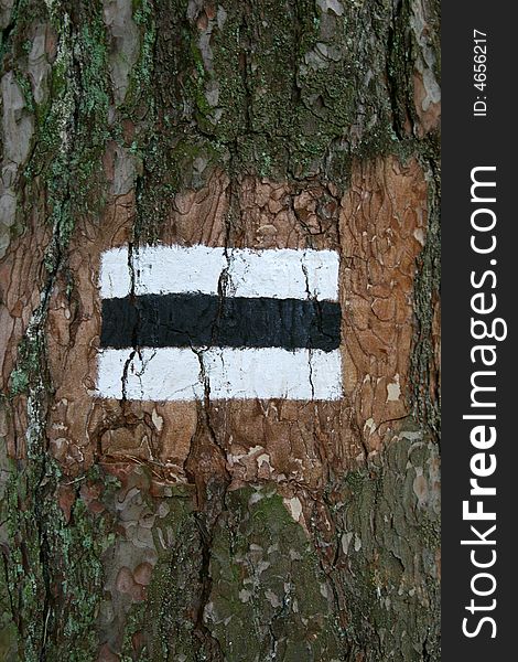 Black hiking trail, 
sign on tree