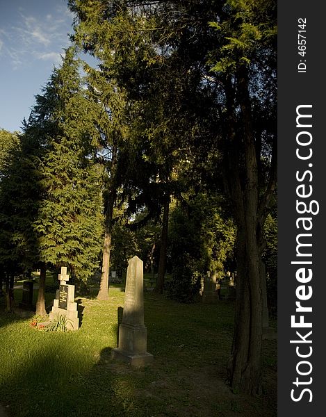 Cemetery With Fresh Green Trees