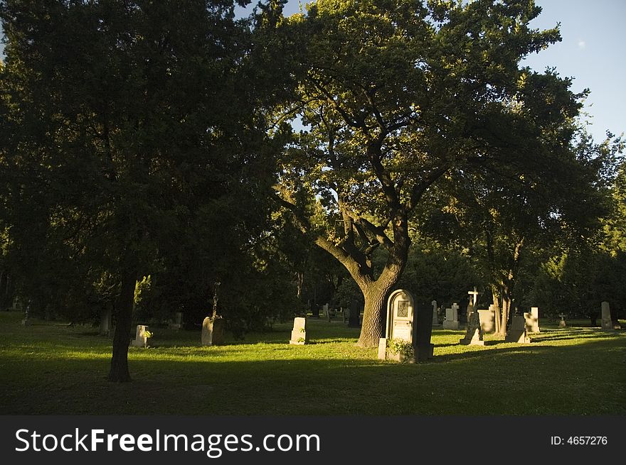 Cemetery With Fresh Green Trees