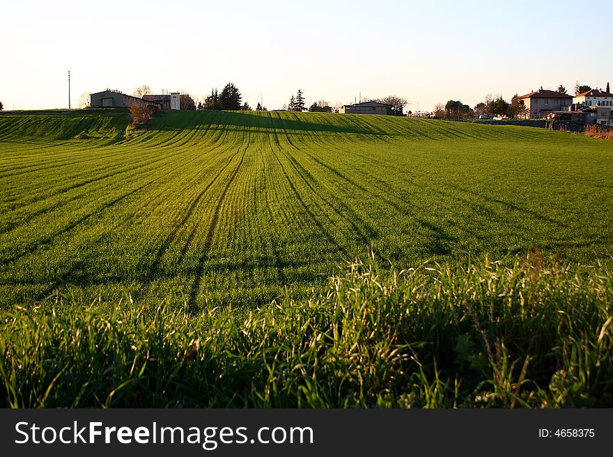 Campagna  Campaign verde Green
primavera Spring. Campagna  Campaign verde Green
primavera Spring