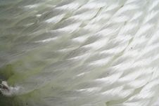 White Rope Royalty Free Stock Photography White Rope Royalty Free Stock Photography