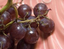 Macro Close-up Of Red Vine Grapes Stock Photos