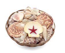 Seashells With Red Star In Basket Stock Image Seashells With Red Star In Basket Stock Image