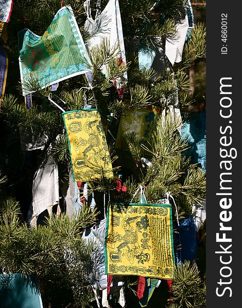 Buddhist flags in a pine in siberia