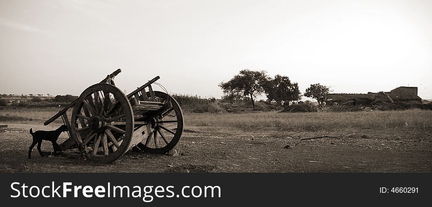 Wide angle shot of a bullock cart in a rural location