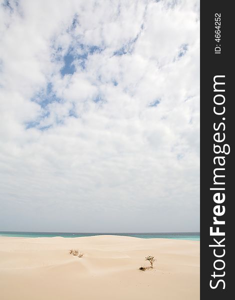 Beach on Socotra island with white sand dunes