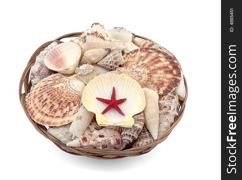 Set of seashells with red star in basket isolated on white background