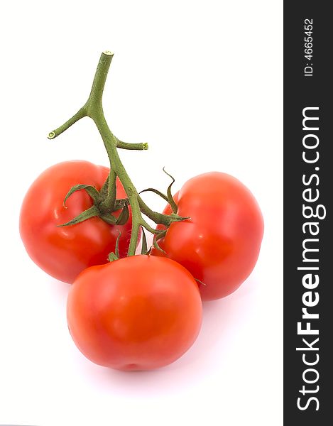 Three full red tomatoes on a branch.